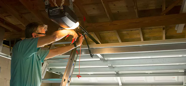 Garage Door Opener Sales and Installation Delano