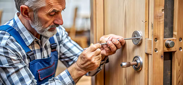 Mortise Replacement Lock Delano