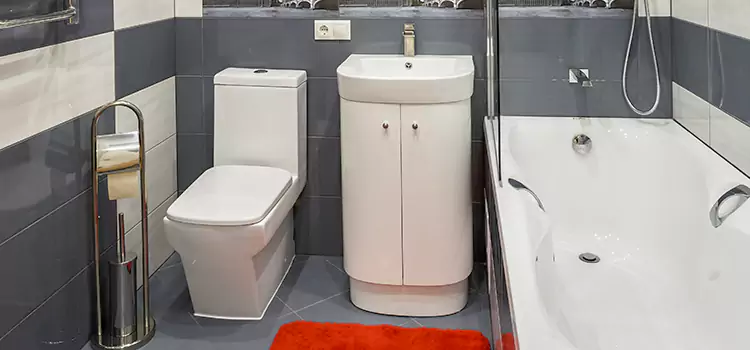 Hansgrohe Shaving Mirror Delano