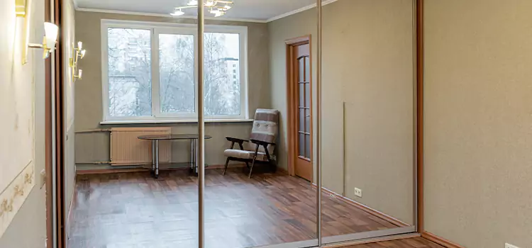 Mirror Closet Door Roller Replacement Delano