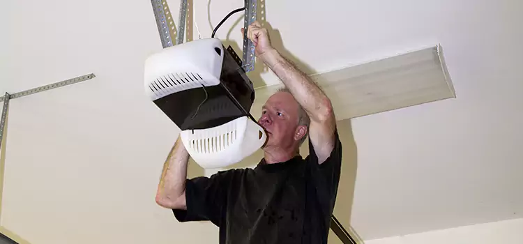 Garage Door Opener Service Delano